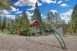 1901 Bernina Dr - Photo 24