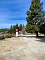 27657 Peninsula Drive - Photo 29