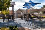 39438 Corvina - Photo 9