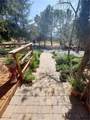 48208 Tanglewood Court - Photo 4