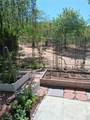 48208 Tanglewood Court - Photo 42