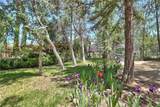 48208 Tanglewood Court - Photo 58