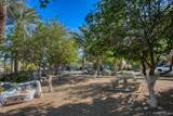 520 Calle Vibrante - Photo 32