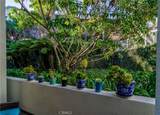 25422 Sea Bluffs Dr - Photo 10