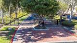 23332 Coso - Photo 4