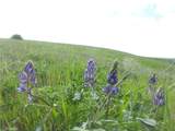 0 Yosemite Place - Photo 44