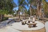 10128 Camino De Rosa - Photo 58
