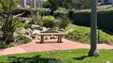 256 Via San Blas - Photo 34