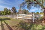 38510 Calle De Lobo - Photo 5