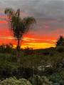 18522 Topanga Canyon - Photo 3