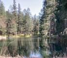 4101 Chinquapin Drive - Photo 46