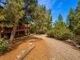 1901 Bernina Dr - Photo 19