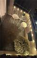 25761 Le Parc - Photo 5
