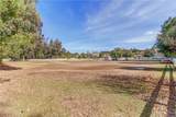 38510 Calle De Lobo - Photo 43