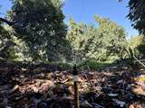 3160 Slivkoff Drive - Photo 8