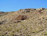 65845 Cima Road - Photo 32