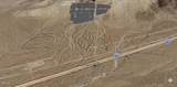65845 Cima Road - Photo 6