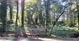 18176 Hwy 116 - Photo 1