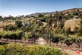 5931 Kanan Dume Road - Photo 50