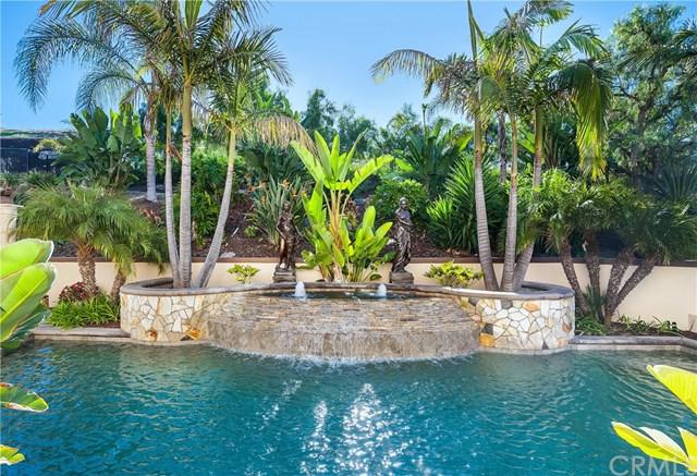 28612 Paseo Zorro - Photo 1