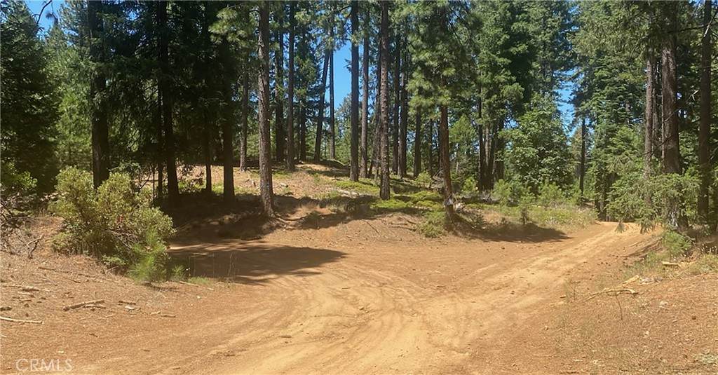 15052 Red Hill Spring Road - Photo 1