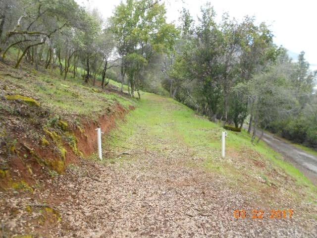 10009 Point Lakeview Road - Photo 1