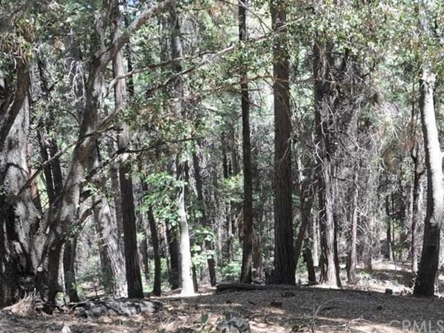 0 Mojave River Road - Photo 1