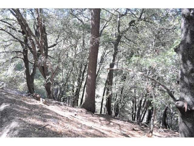 0 Deer Run Road - Photo 1