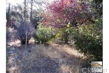 2033 Freeman Drive - Photo 1