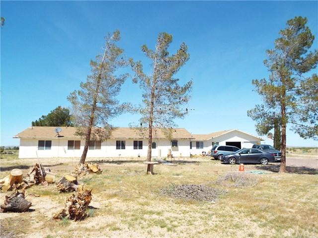 43226 Armadilla Street - Photo 1