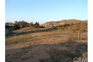 1 Yucca - Photo 1