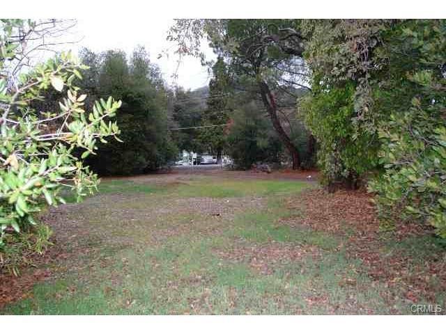 12983 Highway 20 - Photo 1