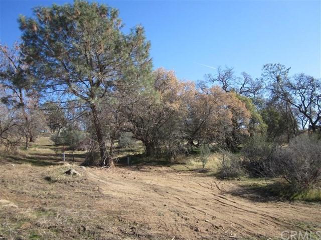 0-4.04AC Road 600 - Photo 1