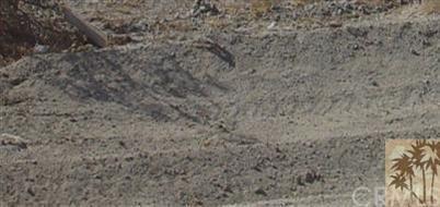 98525 Bounty - Photo 1