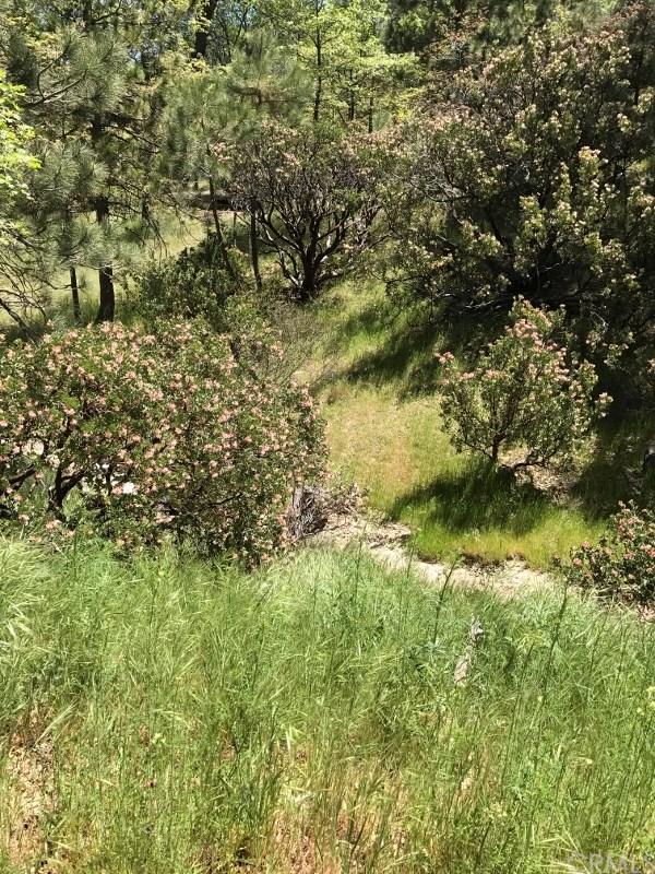 0 Manzanita Way - Photo 1