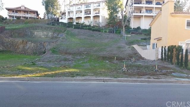 29067 Big Range Road - Photo 1