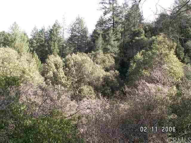 0 Bloomer Hill - Photo 1