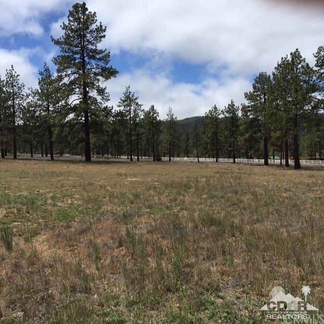 18 Penrod Canyon - Photo 1