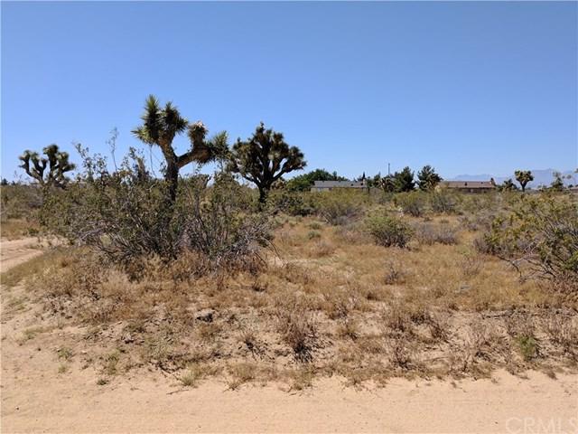 0 Marco Road - Photo 1