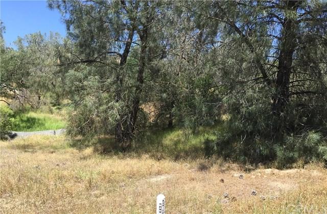 0 North Dome Drive - Photo 1