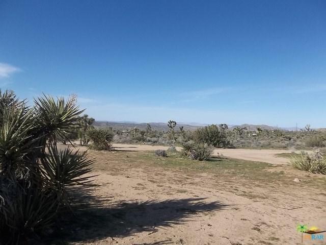 59149 Desert Gold Drive - Photo 1