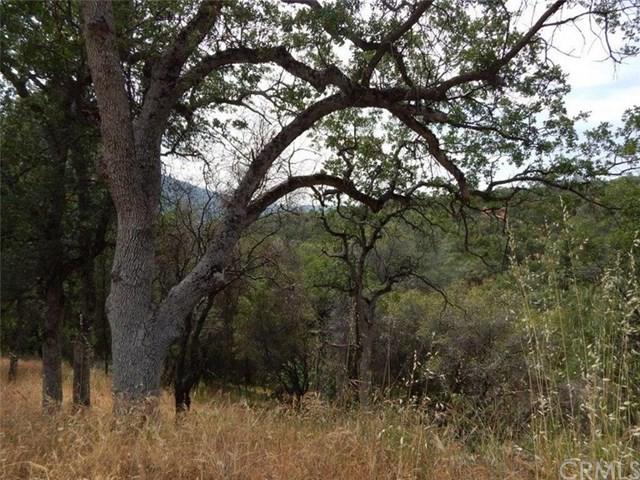 0-11.9 AC Taylor Mountain Road - Photo 1