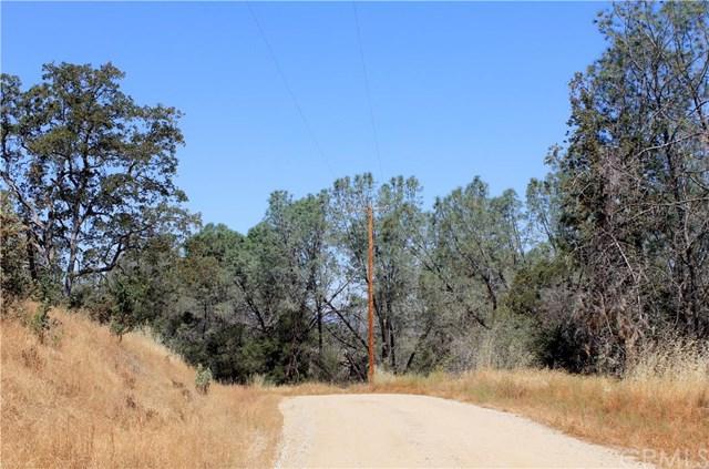 0 Blueberry Hill Drive - Photo 1