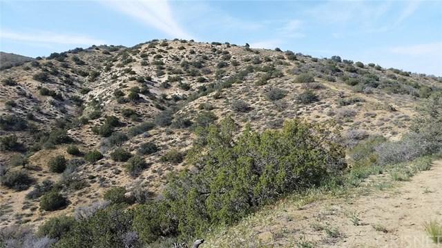 0 Juniper Ridge Lane - Photo 1