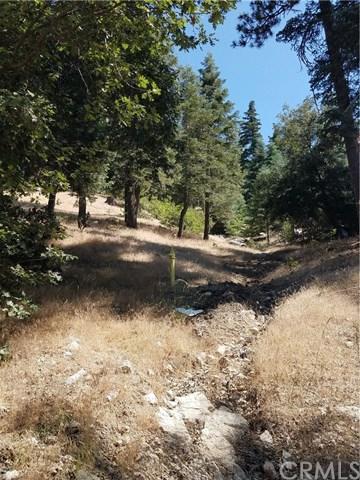 1395 Evergreen Lane - Photo 1