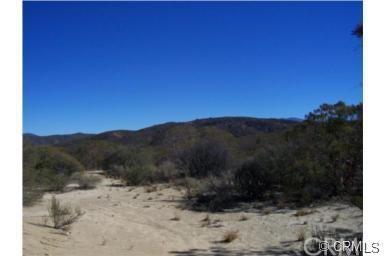 920 Wildlife Trail - Photo 1