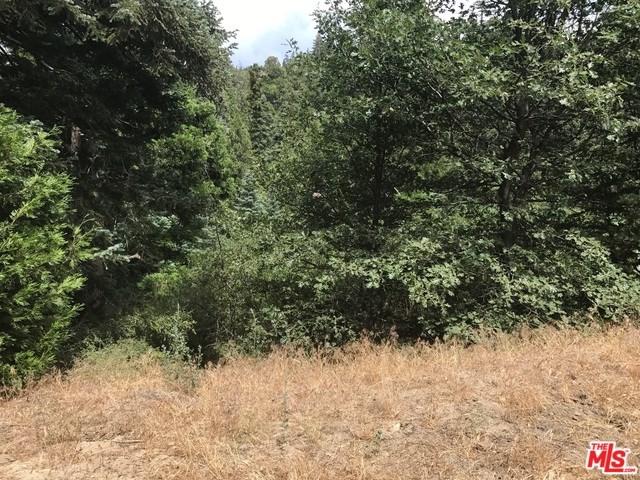 0 Shenandoah Drive - Photo 1