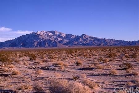 0 Old Woman Mountain Road - Photo 1