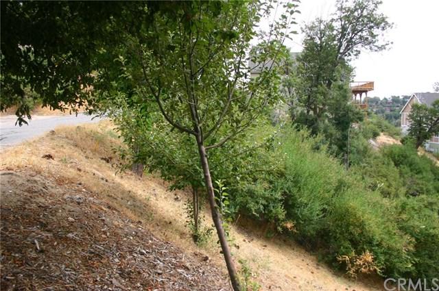 905 Marin Lane - Photo 1