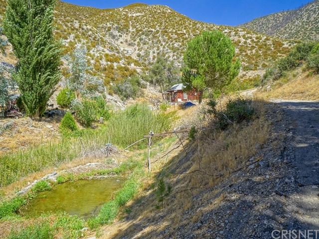 23681 Angeles Forest - Photo 1